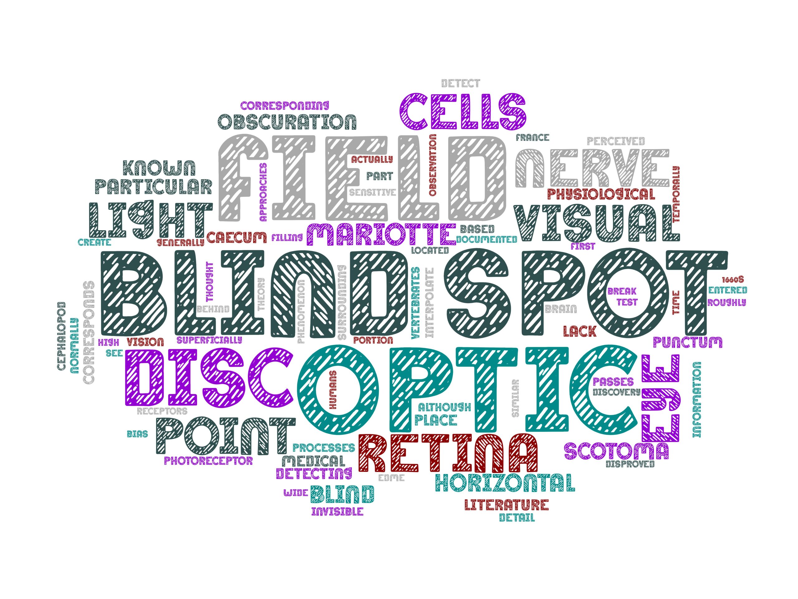 Invincible Ignorance