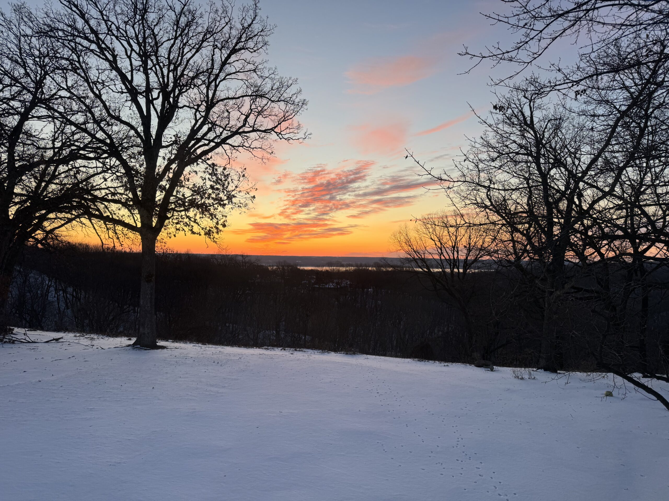 My Monkeys, My Circus (Part the First)